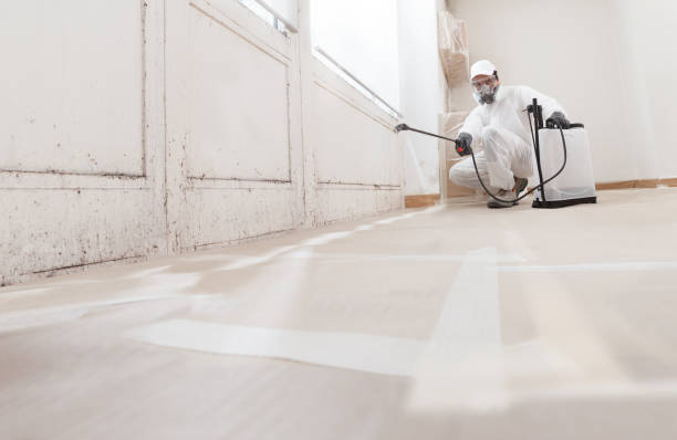 24/7 Emergency Mold Cleanup experts in Henrico, NC