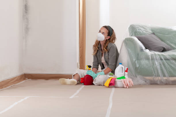 Reliable Mold Cleanup contractor in Henrico, NC by WQB Mold Removal