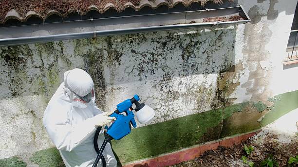 Top rated local Mold Cleanup specialists in Henrico, NC